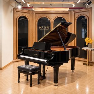 Yamaha CF6