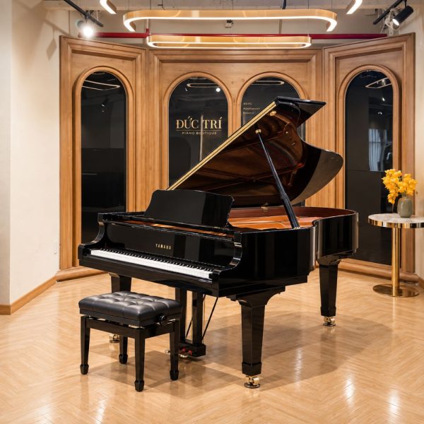 Yamaha CF6