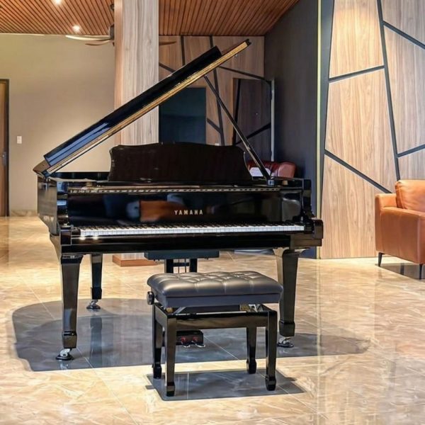Yamaha CF6