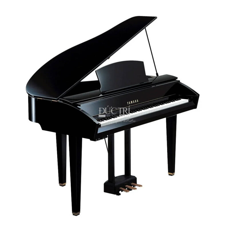 Yamaha DGP1 Cao Cấp tại Đức Trí Music