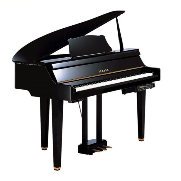 Yamaha DGP2