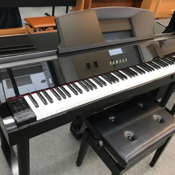 Yamaha DGP5