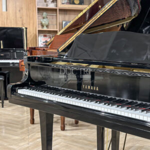 Phím đàn Yamaha G5B