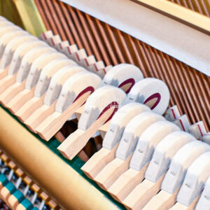 Búa Đàn Yamaha UX100