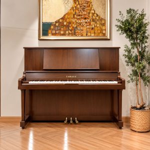 Yamaha UX10Wn