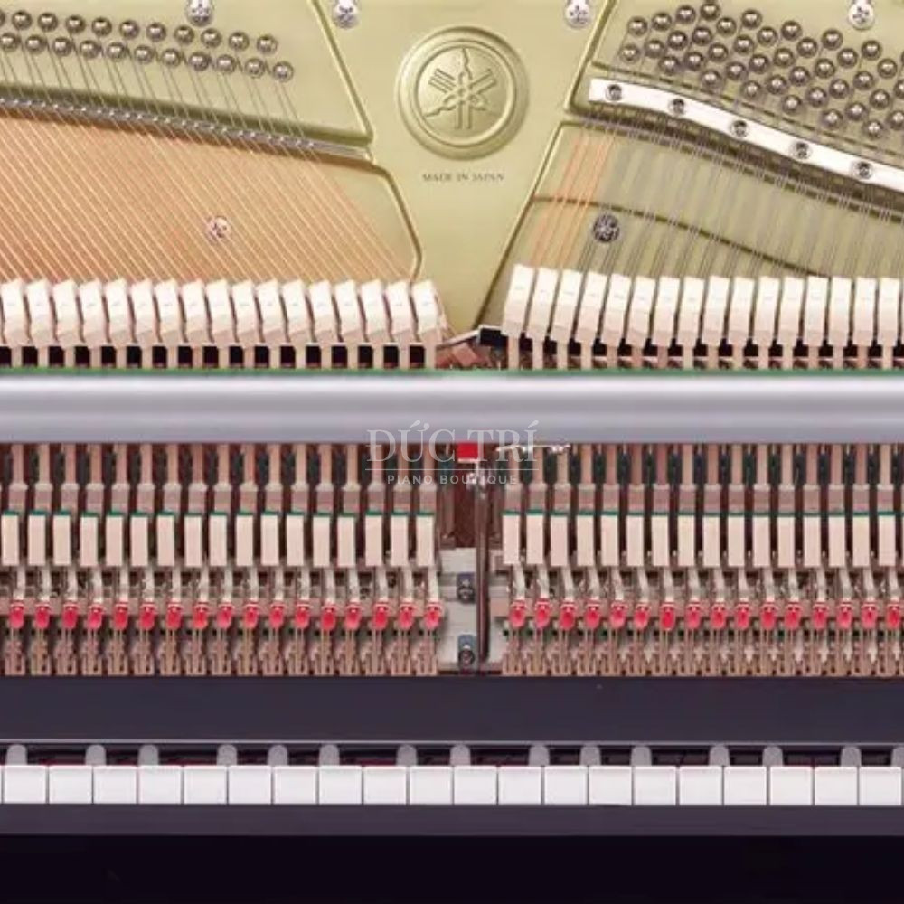 Yamaha YM50 1 Yamaha YM50 Bên trong đàn Yamaha YM50