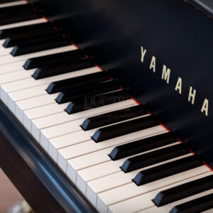 bàn phím Yamaha C5B