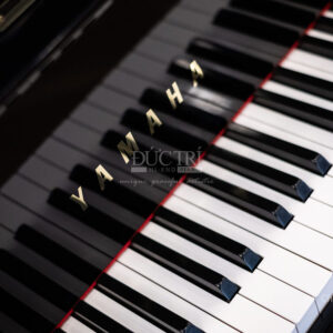 bàn phím yamaha c2l