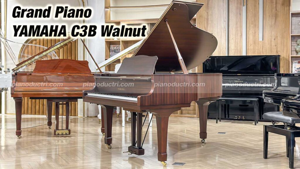 Review top 20 đàn piano 300 triệu nên sở hữu, bảo hành 5 năm 5 Đàn Grand Piano Yamaha C3B Walnut cao cấp tại Đức Trí Piano Boutique