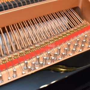 dây đàn yamaha c2l