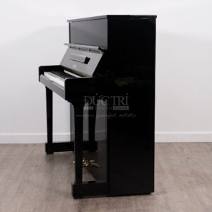 hông đàn piano Yamaha SU118
