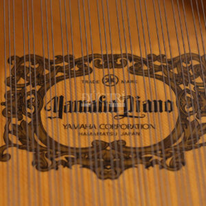 Logo soundboard Yamaha C5A