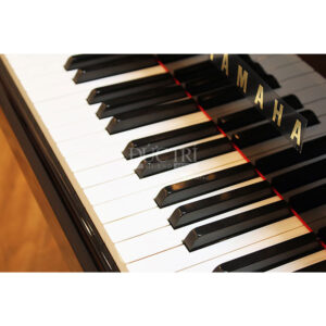 phím đàn Yamaha A1R