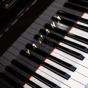 phím đàn Yamaha C2