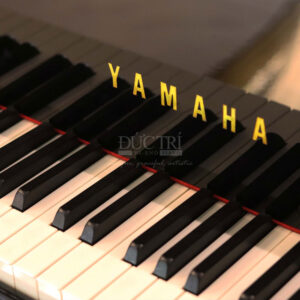 Phím đàn Yamaha C5A