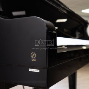 Lớp sơn Yamaha G2A