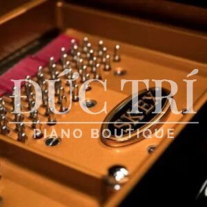 Mã SK-EX trên Shigeru Kawai SK-EX