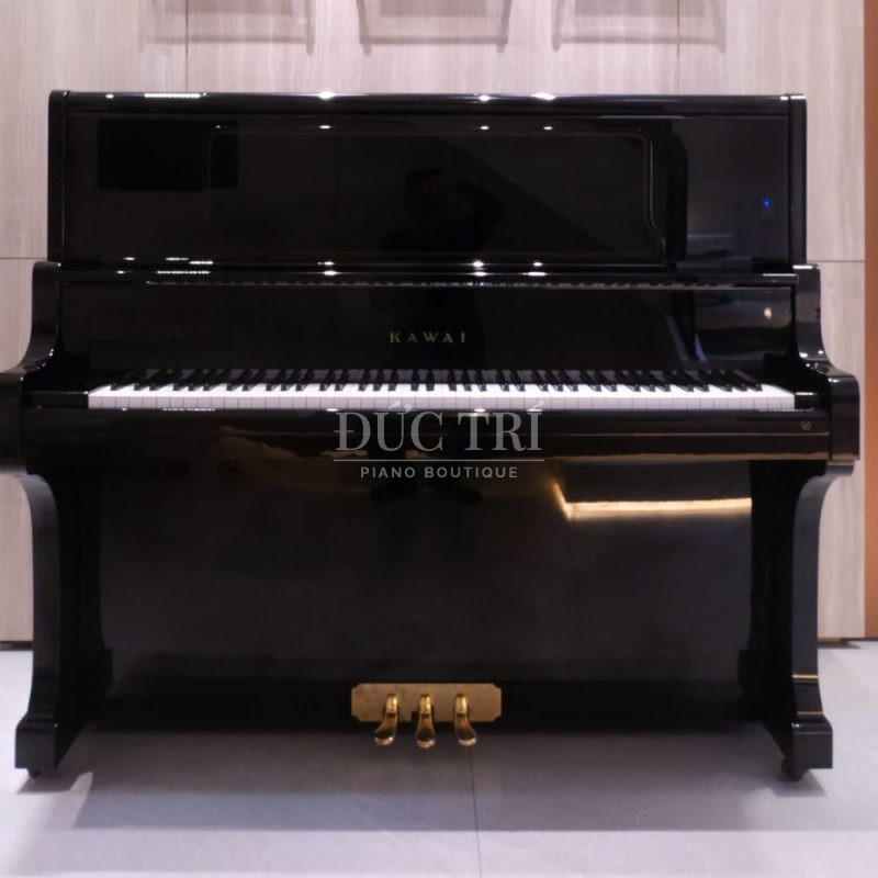 Màu sắc trên đàn Kawai BL71 khi bàn giao
