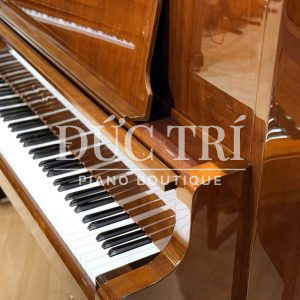 Màu sắc trên đàn Kawai Bl71