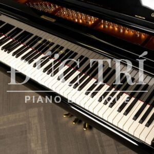 Phím đàn trên Shigeru Kawai SK-EX