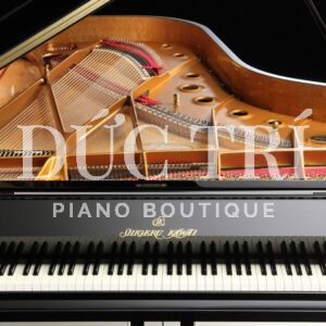 Soundboard & Dây đàn Temaki