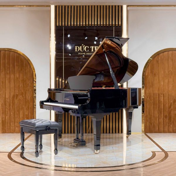 Kawai GX-3
