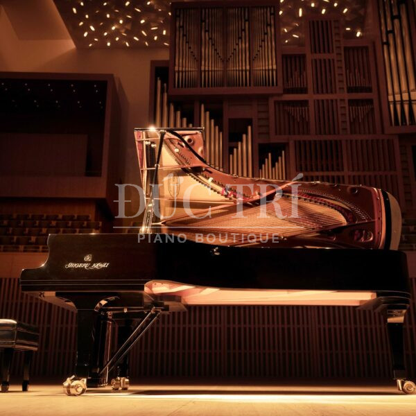 Thiết kế đàn Piano Grand Shigeru Kawai SK-EX