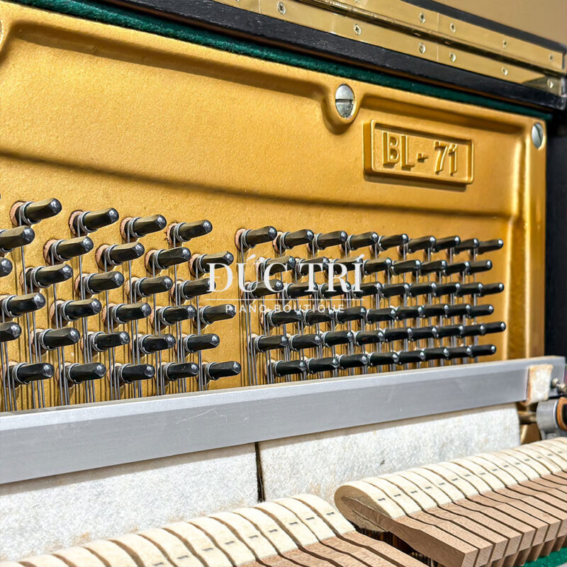 Chốt giữ dây đàn kawai BL71