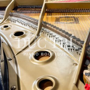 Bên trong đàn Yamaha G2E