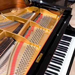 Chốt lên dây của đàn Yamaha C5A