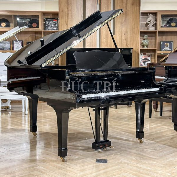 Đàn Piano G2E