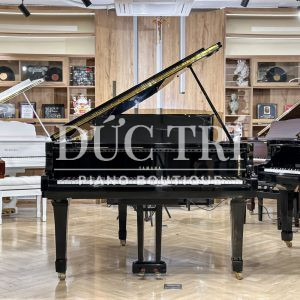Đàn Piano Yamaha G2E