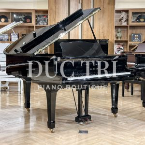 Đàn Yamaha G2E