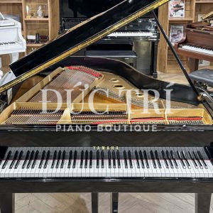 Dây bass trên đàn Yamaha G2E
