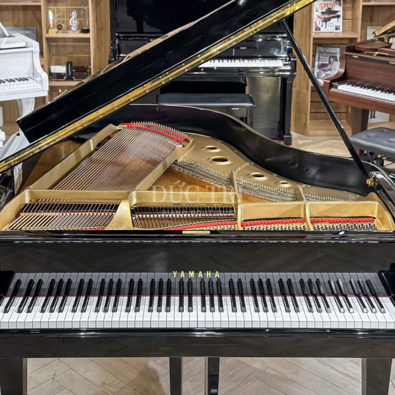 Dây bass trên đàn Yamaha G2E