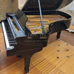 Góc nghiêng Đàn Piano Roland GP-9M