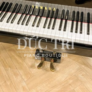 Hệ thống 2 pedal trên Yamaha G2E