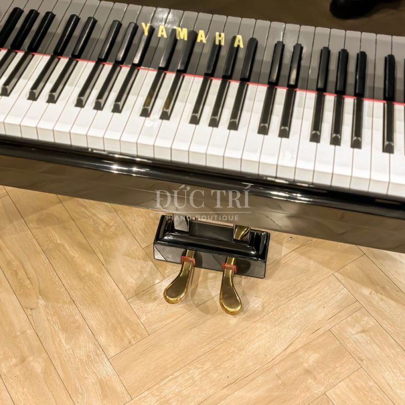 Hệ thống 2 pedal trên Yamaha G2E