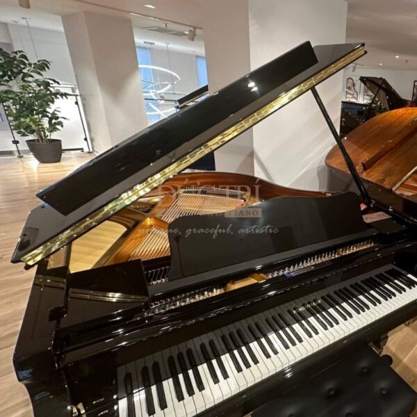 Hình ảnh Đàn Piano Cơ W.Hoffmann V183 Vario Grand