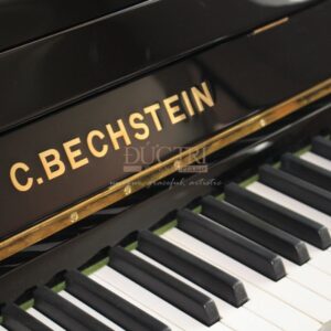 Hình ảnh bàn phím Đàn Piano Cơ C.Bechstein R2 Millenium Residence Upright