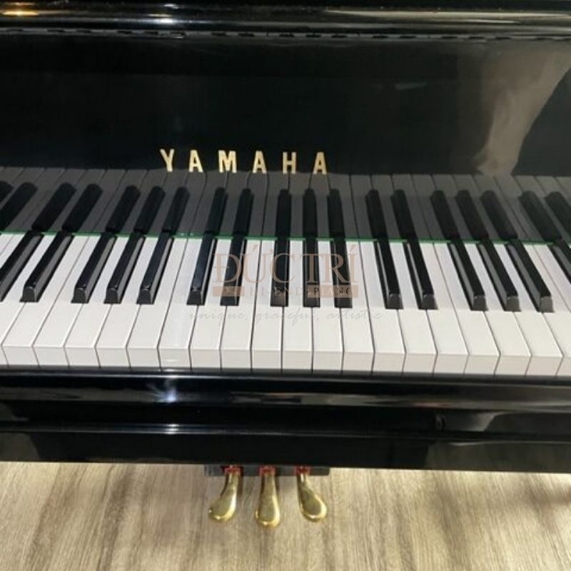 Hình ảnh bàn phím Đàn Piano Yamaha U3G