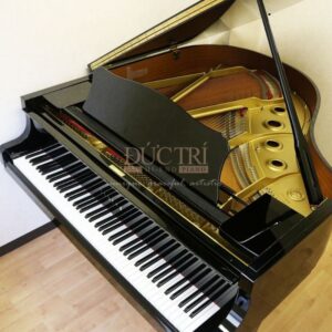 Hình ảnh cận cảnh Đàn Piano Cơ Yamaha G1E Grand