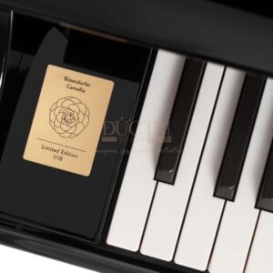 Hình ảnh cận cảnh bàn phím Đàn Piano Cơ Bosendorfer Camellia Grand