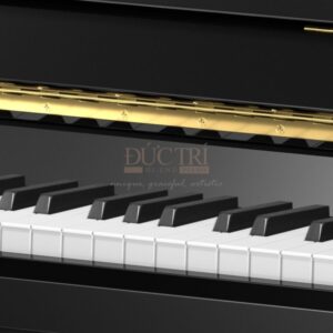 Hình ảnh cận cảnh bàn phím Đàn Piano Cơ C.Bechstein R4 Contur Upright