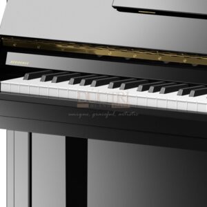 Hình ảnh cận cảnh bàn phím Đàn Piano Cơ C.Bechstein R6 Elegance Upright