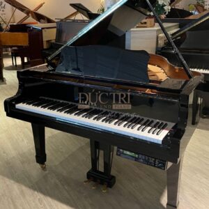 Đàn piano cơ Grand