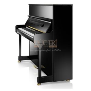Hình ảnh mặt sau Đàn Piano Cơ C.Bechstein R2 Millenium Residence Upright