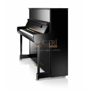 Hình ảnh mặt sau Đàn Piano Cơ C.Bechstein R6 Elegance Upright