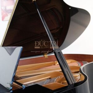 Hình ảnh mặt sau Đàn Piano Cơ W.Hoffmann V183 Vario Grand