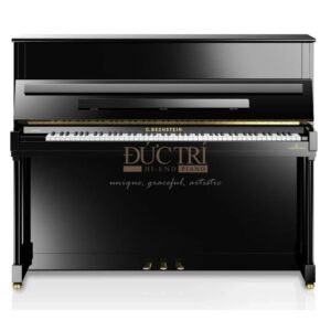 Hình ảnh trực diện của Đàn Piano Cơ C.Bechstein R4 Contur Upright